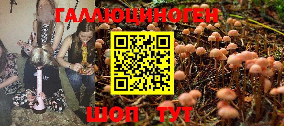 Галлюциногенные грибы MAGIC MUSHROOMS Спасск-Дальний