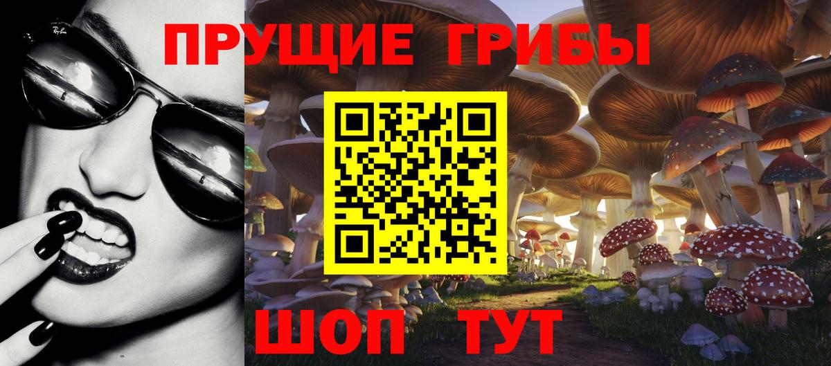 Спасск-Дальний  Галлюциногенные грибы мицелий  Вход с VPN  Галлюциногенные грибы GOLDEN TEACHER 
